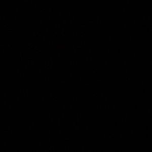 Meet your Posher, Raul